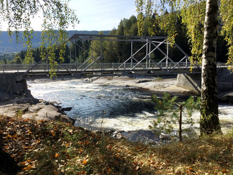 Bilde av Landsverk bru tatt fra siden med elv som renner under og natur rundt. 